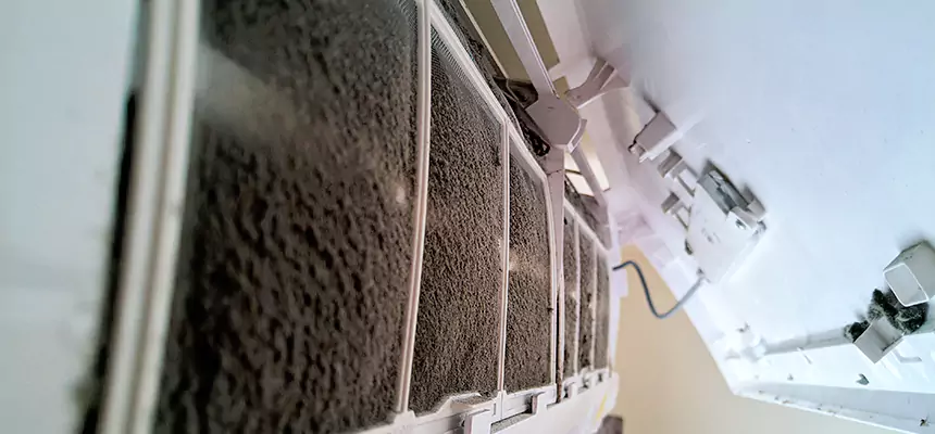 Preventive Air Duct Bacteria Removal in Grapevine