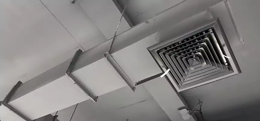 Our Rodent Droppings In Vents Services in Grapevine, TX