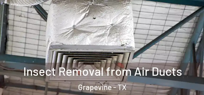  Insect Removal from Air Ducts Grapevine - TX
