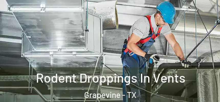  Rodent Droppings In Vents Grapevine - TX