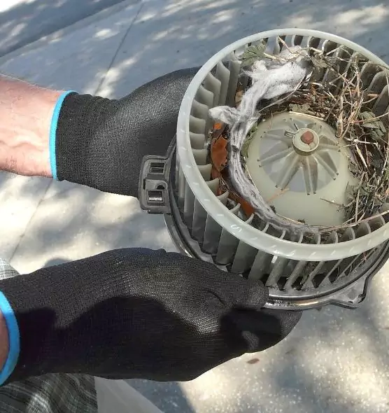 About Air Duct Mice Removal in Grapevine, TX