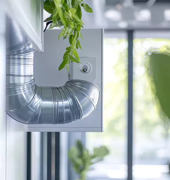 Professional Eco-Friendly Duct Cleaning Services in Grapevine, TX