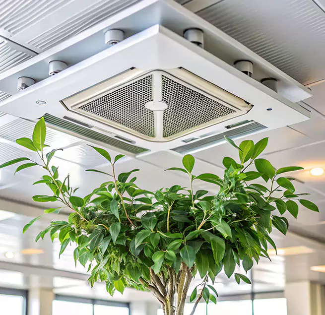 Why Homeowners & Businesses Trust Us in Grapevine, TX?