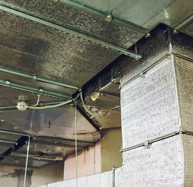 Why Homeowners & Businesses Trust Us in Grapevine, TX?