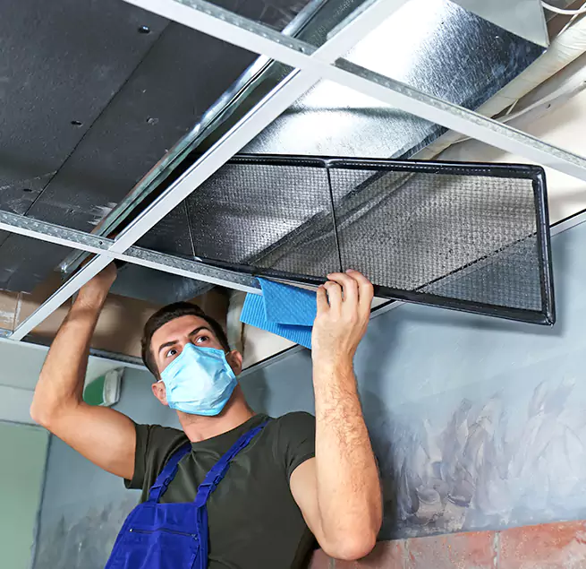 Why Homeowners & Businesses Trust Us in Grapevine, TX?