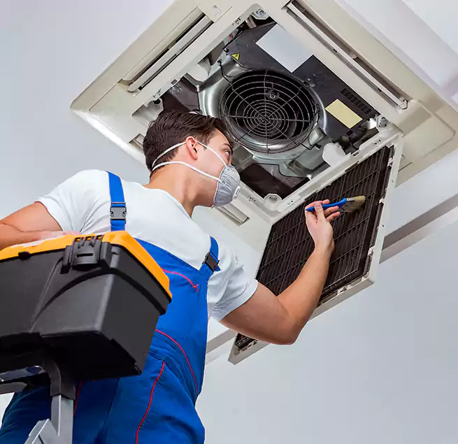 Why Homeowners & Businesses Trust Us in Grapevine, TX?